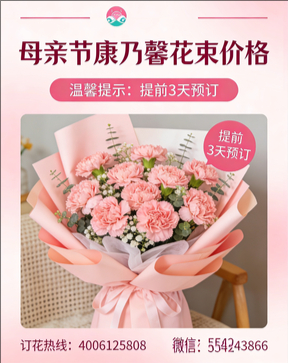 焦作修武县花店母亲节康乃馨花束