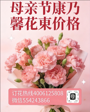 焦作修武县花店母亲节康乃馨花束